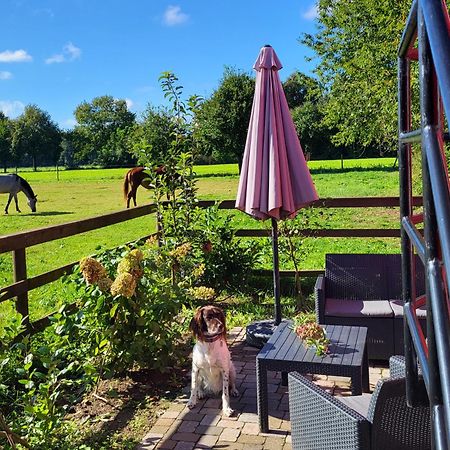 Schlafwagen Domblick Moerenhof Xanten Buitenkant foto