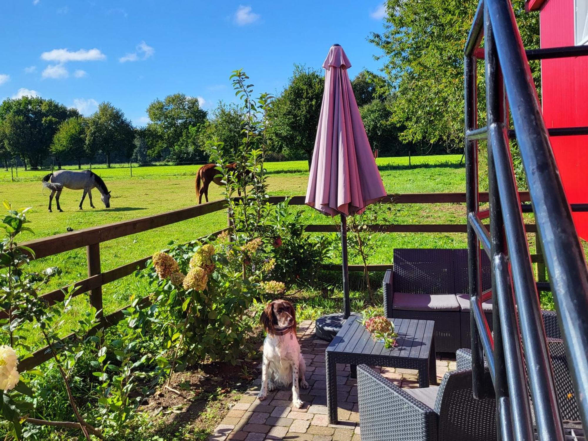 Schlafwagen Domblick Moerenhof Xanten Buitenkant foto